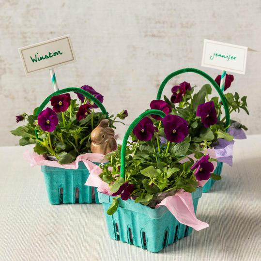 kasvit in DIY Easter Basket