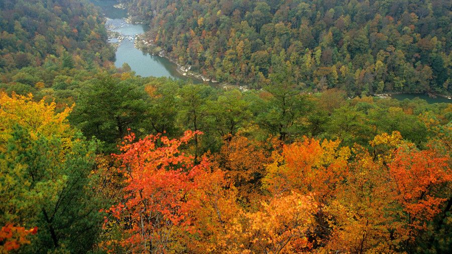 Velik South Fork National River and Recreation Area Fall Color
