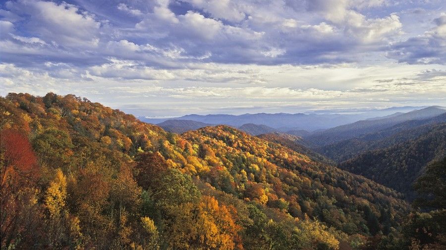 Sjajno Smoky Mountains National Park Fall Color