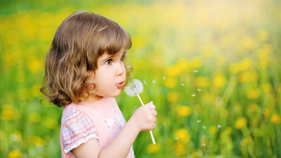 प्यारा little girl blowing dandelion