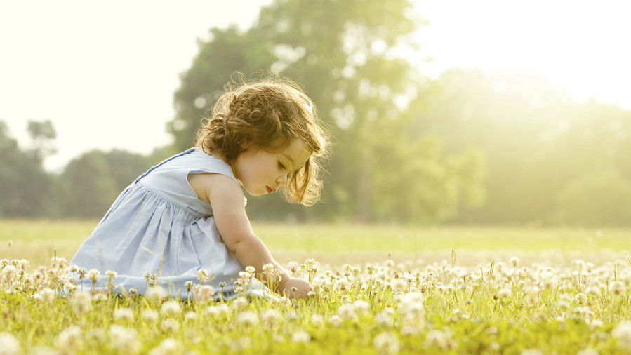 Djevojka picking flowers in field