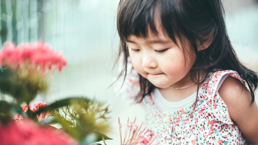बच्चा girl smelling a red flower
