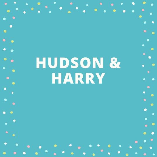 जुड़वां Names: Hudson and Harry