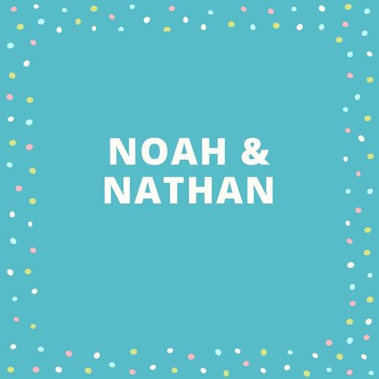 जुड़वां Names: Noah and Nathan