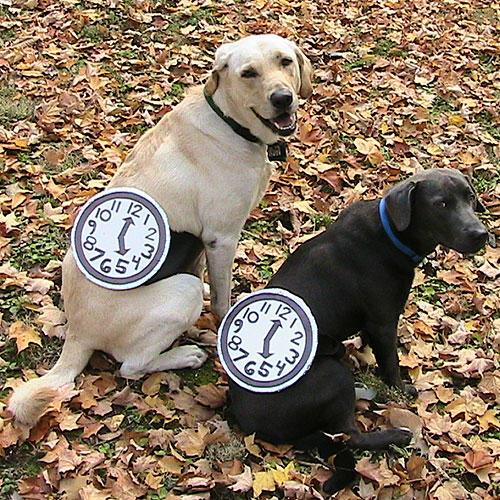 Ρολόι Dogs