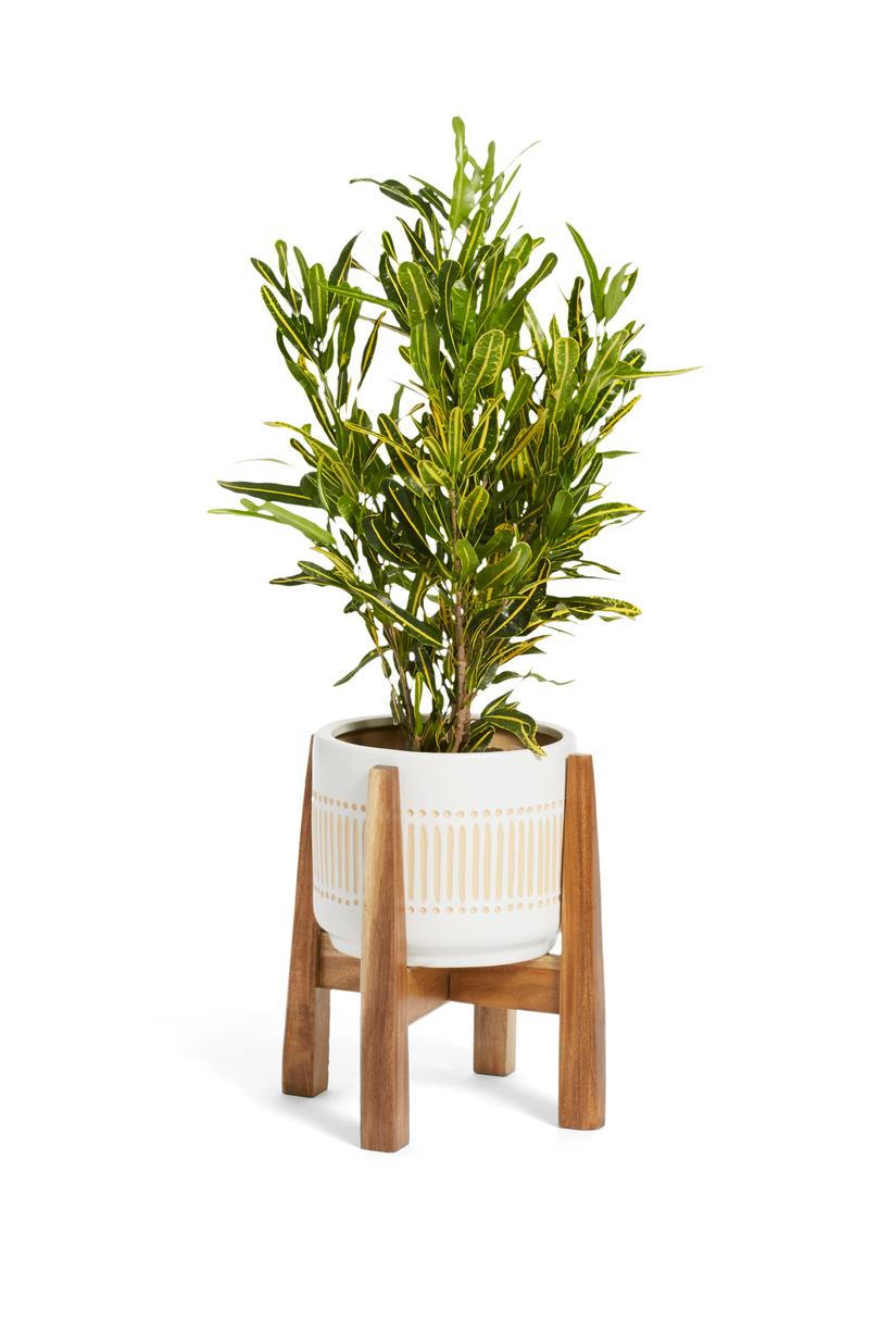Puinen Plant Stand